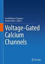 Voltage-Gated Calcium Channels 