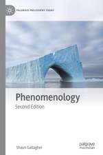 Phenomenology