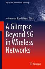 A Glimpse Beyond 5G in Wireless Networks