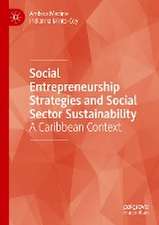 Social Entrepreneurship Strategies and Social Sector Sustainability