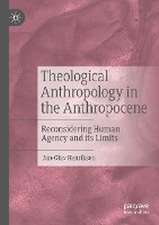 Theological Anthropology in the Anthropocene