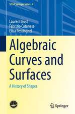 Algebraic Curves and Surfaces: A History of Shapes