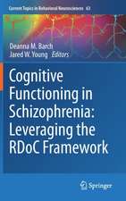 Cognitive Functioning in Schizophrenia: Leveraging the RDoC Framework