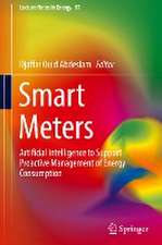 Smart Meters