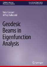 Geodesic Beams in Eigenfunction Analysis