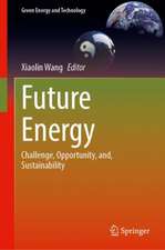 Future Energy: Challenge, Opportunity, and, Sustainability