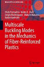 Multiscale Buckling Modes in the Mechanics of Fiber-Reinforced Plastics