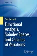 Functional Analysis, Sobolev Spaces, and Calculus of Variations