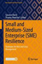 Small and Medium-Sized Enterprise (SME) Resilience: Strategies for Risk and Crisis Management 