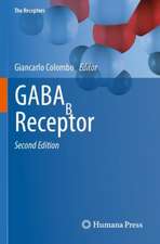 GABAB Receptor