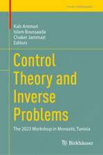 Control Theory and Inverse Problems