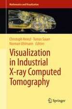 Visualization in Industrial X-ray Computed Tomography