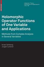 Holomorphic Operator Functions of One Variable and Applications