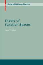 Theory of Function Spaces