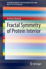 Fractal Symmetry of Protein Interior