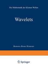 Wavelets: Die Mathematik der Kleinen Wellen