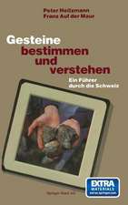 Gesteine bestimmen und verstehen: Ein Führer durch die Schweiz