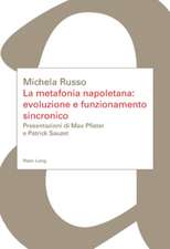 La Metafonia Napoletana: Presentazioni Di Max Pfister E Patrick Sauzet