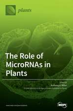 The Role of MicroRNAs in Plants