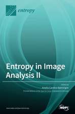 Entropy in Image Analysis II