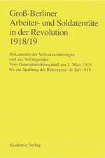 Groß-Berliner Arbeiter- und Soldatenräte in der Revolution 1918/19: Vom Generalstreikbeschluß am 3. März 1919 bis zur Spaltung der