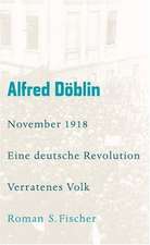 November 1918 - Eine deutsche Revolution