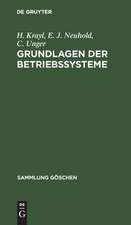 SG2051 KRAYL/NEUHOLD/UNGER: GRUNDL BETRIEBSSYST