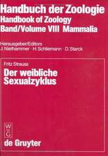 Der weibliche Sexualzyklus