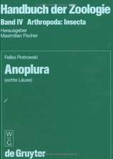 Anoplura: (echte Läuse)