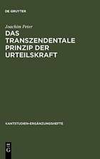 Das transzendentale Prinzip der Urteilskraft: Eine Untersuchung zur Funktion und Struktur der reflektierenden Urteilskraft bei Kant