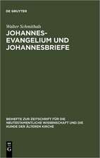 Johannesevangelium und Johannesbriefe: Forschungsgeschichte und Analyse