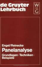 Panelanalyse: Grundlagen, Techniken, Beispiele