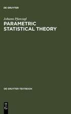 Parametric Statistical Theory