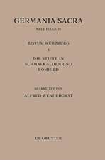 Die Bistümer der Kirchenprovinz Mainz: Das Bistum Würzburg 5: Die Stifte in Schmalkalden und Römhild