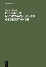 Die Pacht nichtsächlicher Gegenstände: Rechtspacht und Pacht besonderer Gegenstände im Wirtschaftsleben