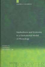 Markedness and Economy in a Derivational Model of Phonology