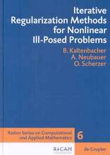 Iterative Regularization Methods for Nonlinear Ill-Posed Problems