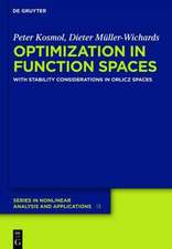 Optimization in Function Spaces: With Stability Considerations in Orlicz Spaces