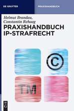 Praxishandbuch IP-Strafrecht