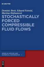 Stochastically Forced Compressible Fluid Flows