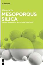 Mesoporous Silica
