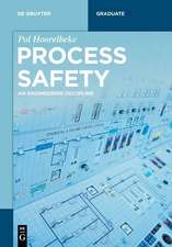 Hoorelbeke, P: Process Safety