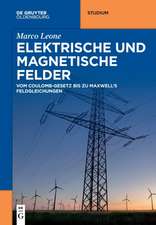 Leone, M: Elektrische und magnetische Felder