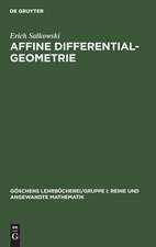 Affine Differentialgeometrie