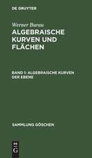 Algebraische Kurven der Ebene: aus: Algebraische Kurven und Flächen, Bd. 1