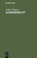 Jugendrecht: Ein Lehrbuch zur Einführung