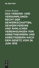 Das Vereins- und Versammlungsrecht der Gewerkschaften, Gewerkvereine und ähnlichen Vereinigungen von Arbeitnehmern und Arbeitgebern nach dem Gesetz vom 26. Juni 1916: Mit e. Anh: Das gewerS. Koalitionsrecht