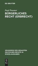 Bürgerliches Recht (Erbrecht): Bd. 5