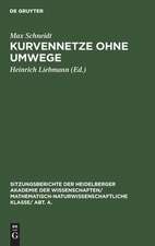 Kurvennetze ohne Umwege