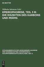 Die Eiszeiten des Karbons und Perms: aus: Epeirophorese, Teil 3 B